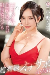 Nonton Film DLDSS-317 Real Tobrut H-Cup – Yuko Ono Terbaru